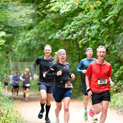 11.10.2026 - Bramfelder Halbmarathon 2026 Dr. Thomas Lammeyer http://msf.ph/oto/10819444 11.10.2026 10:13:47 Laufen 240, 272 meine-sportfotos.de