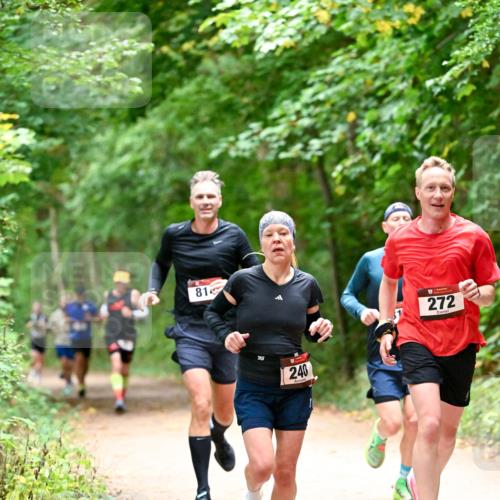 11.10.2026 - Bramfelder Halbmarathon 2026 Dr. Thomas Lammeyer http://msf.ph/oto/10819445 11.10.2026 10:13:47 Laufen 81, 240, 272 meine-sportfotos.de