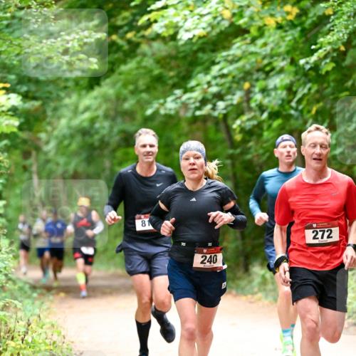11.10.2026 - Bramfelder Halbmarathon 2026 Dr. Thomas Lammeyer http://msf.ph/oto/10819446 11.10.2026 10:13:47 Laufen 81, 13, 240, 272 meine-sportfotos.de