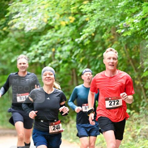 11.10.2026 - Bramfelder Halbmarathon 2026 Dr. Thomas Lammeyer http://msf.ph/oto/10819448 11.10.2026 10:13:48 Laufen 814, 240, 81, 272 meine-sportfotos.de