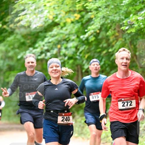 11.10.2026 - Bramfelder Halbmarathon 2026 Dr. Thomas Lammeyer http://msf.ph/oto/10819449 11.10.2026 10:13:48 Laufen 81, 240, 815, 272 meine-sportfotos.de