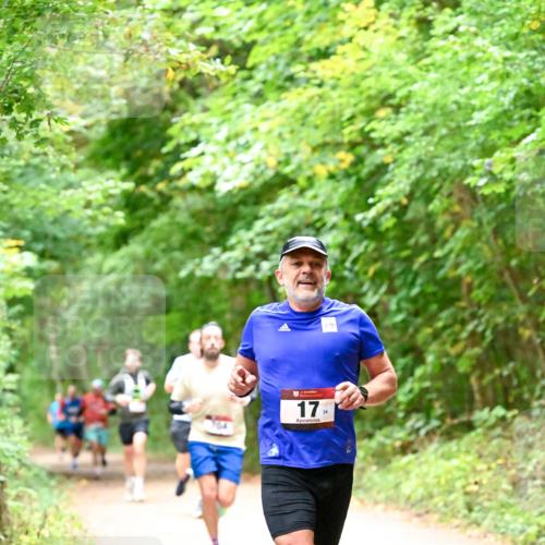 11.10.2026 - Bramfelder Halbmarathon 2026 Dr. Thomas Lammeyer http://msf.ph/oto/10819493 11.10.2026 10:13:56 Laufen 17, 24 meine-sportfotos.de