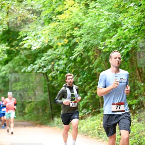 11.10.2026 - Bramfelder Halbmarathon 2026 Dr. Thomas Lammeyer http://msf.ph/oto/10819510 11.10.2026 10:14:00 Laufen 633, 77 meine-sportfotos.de