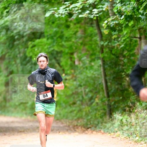 11.10.2026 - Bramfelder Halbmarathon 2026 Dr. Thomas Lammeyer http://msf.ph/oto/10819590 11.10.2026 10:14:18 Laufen 84 meine-sportfotos.de