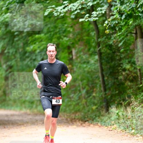 11.10.2026 - Bramfelder Halbmarathon 2026 Dr. Thomas Lammeyer http://msf.ph/oto/10819749 11.10.2026 10:14:57 Laufen 360, 722, 43, 3 meine-sportfotos.de