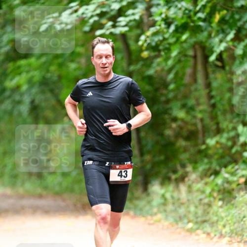 11.10.2026 - Bramfelder Halbmarathon 2026 Dr. Thomas Lammeyer http://msf.ph/oto/10819761 11.10.2026 10:14:59 Laufen 13, 00, 720, 43 meine-sportfotos.de
