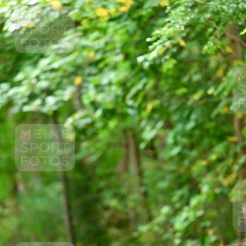 11.10.2026 - Bramfelder Halbmarathon 2026 Dr. Thomas Lammeyer http://msf.ph/oto/10819778 11.10.2026 10:15:54 Laufen  meine-sportfotos.de
