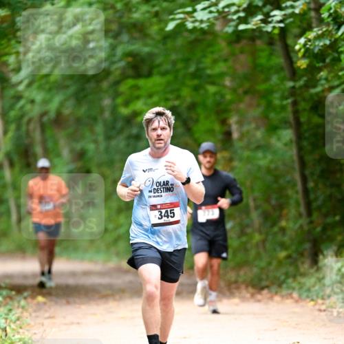 11.10.2026 - Bramfelder Halbmarathon 2026 Dr. Thomas Lammeyer http://msf.ph/oto/10819797 11.10.2026 10:16:20 Laufen 21, 345 meine-sportfotos.de