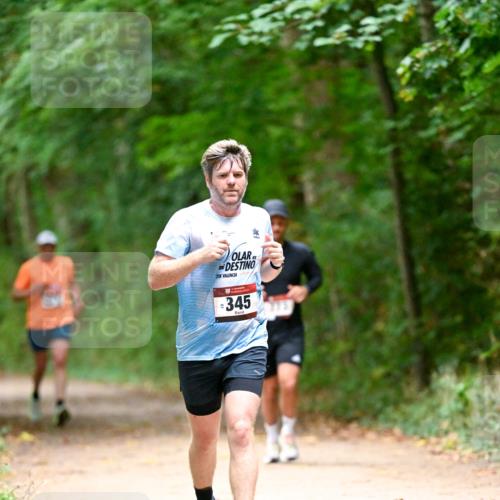 11.10.2026 - Bramfelder Halbmarathon 2026 Dr. Thomas Lammeyer http://msf.ph/oto/10819800 11.10.2026 10:16:20 Laufen 21, 345 meine-sportfotos.de
