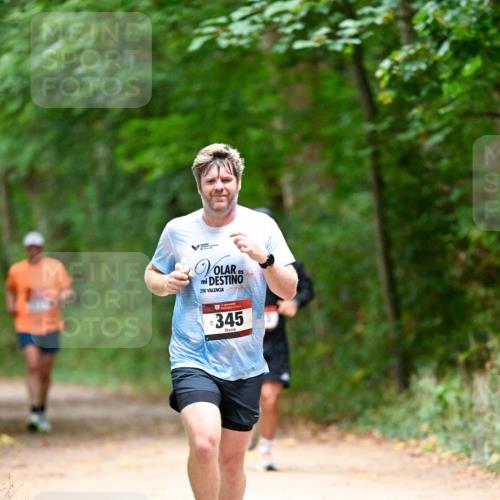 11.10.2026 - Bramfelder Halbmarathon 2026 Dr. Thomas Lammeyer http://msf.ph/oto/10819802 11.10.2026 10:16:20 Laufen 21, 345 meine-sportfotos.de