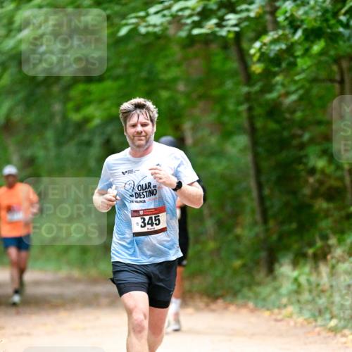 11.10.2026 - Bramfelder Halbmarathon 2026 Dr. Thomas Lammeyer http://msf.ph/oto/10819803 11.10.2026 10:16:20 Laufen 258, 345 meine-sportfotos.de