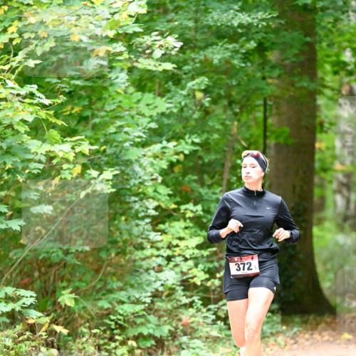 11.10.2026 - Bramfelder Halbmarathon 2026 Dr. Thomas Lammeyer http://msf.ph/oto/10819818 11.10.2026 10:16:51 Laufen 372 meine-sportfotos.de