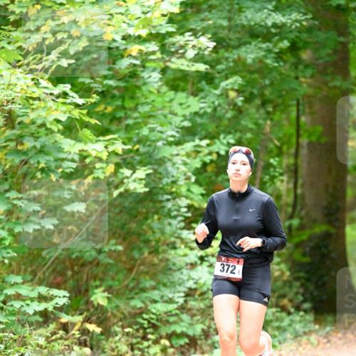 11.10.2026 - Bramfelder Halbmarathon 2026 Dr. Thomas Lammeyer http://msf.ph/oto/10819821 11.10.2026 10:16:52 Laufen 372 meine-sportfotos.de