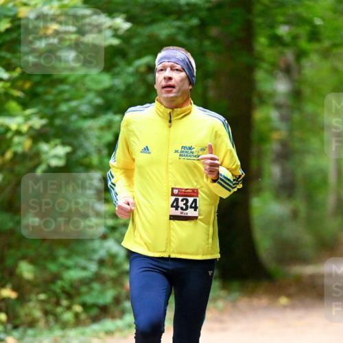 11.10.2026 - Bramfelder Halbmarathon 2026 Dr. Thomas Lammeyer http://msf.ph/oto/10819897 11.10.2026 10:17:41 Laufen 36, 35, 434 meine-sportfotos.de