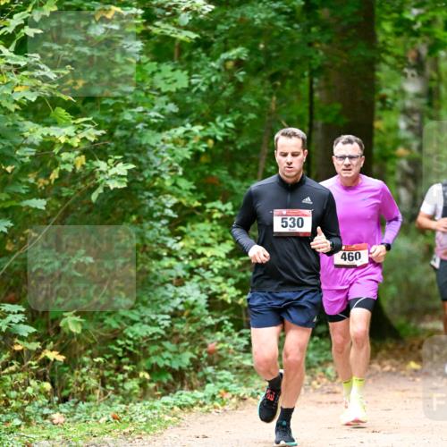 11.10.2026 - Bramfelder Halbmarathon 2026 Dr. Thomas Lammeyer http://msf.ph/oto/10819902 11.10.2026 10:17:47 Laufen 530, 460 meine-sportfotos.de