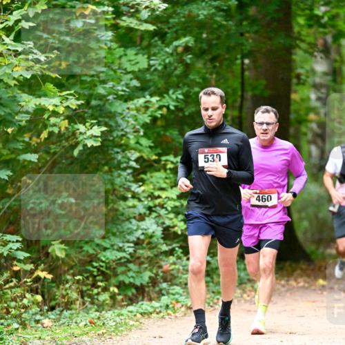 11.10.2026 - Bramfelder Halbmarathon 2026 Dr. Thomas Lammeyer http://msf.ph/oto/10819903 11.10.2026 10:17:47 Laufen 530, 460 meine-sportfotos.de