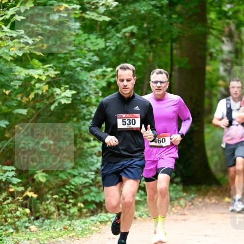 11.10.2026 - Bramfelder Halbmarathon 2026 Dr. Thomas Lammeyer http://msf.ph/oto/10819907 11.10.2026 10:17:48 Laufen 530, 460 meine-sportfotos.de
