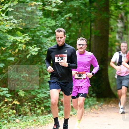 11.10.2026 - Bramfelder Halbmarathon 2026 Dr. Thomas Lammeyer http://msf.ph/oto/10819908 11.10.2026 10:17:48 Laufen 530, 460 meine-sportfotos.de
