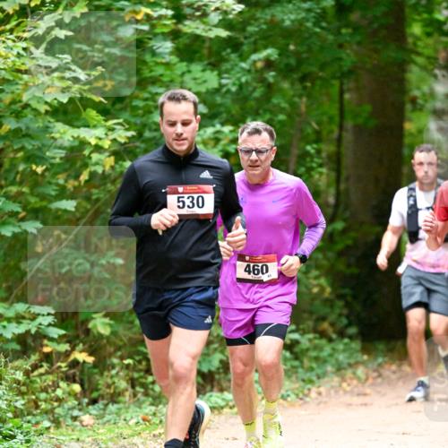 11.10.2026 - Bramfelder Halbmarathon 2026 Dr. Thomas Lammeyer http://msf.ph/oto/10819910 11.10.2026 10:17:49 Laufen 530, 460, 43 meine-sportfotos.de