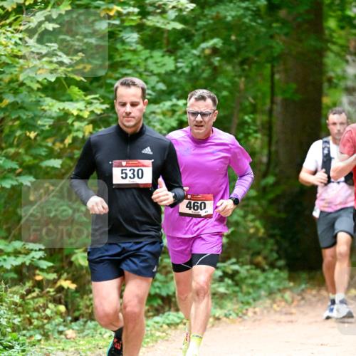 11.10.2026 - Bramfelder Halbmarathon 2026 Dr. Thomas Lammeyer http://msf.ph/oto/10819911 11.10.2026 10:17:49 Laufen 530, 460 meine-sportfotos.de