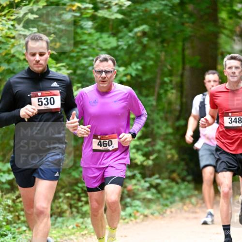 11.10.2026 - Bramfelder Halbmarathon 2026 Dr. Thomas Lammeyer http://msf.ph/oto/10819915 11.10.2026 10:17:49 Laufen 530, 460, 348 meine-sportfotos.de