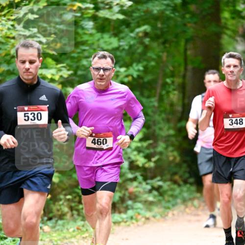 11.10.2026 - Bramfelder Halbmarathon 2026 Dr. Thomas Lammeyer http://msf.ph/oto/10819916 11.10.2026 10:17:49 Laufen 530, 460, 43, 348 meine-sportfotos.de