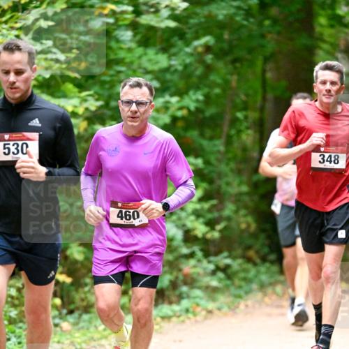 11.10.2026 - Bramfelder Halbmarathon 2026 Dr. Thomas Lammeyer http://msf.ph/oto/10819917 11.10.2026 10:17:50 Laufen 530, 460, 348 meine-sportfotos.de