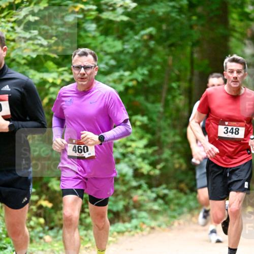 11.10.2026 - Bramfelder Halbmarathon 2026 Dr. Thomas Lammeyer http://msf.ph/oto/10819918 11.10.2026 10:17:50 Laufen 460, 43, 348 meine-sportfotos.de