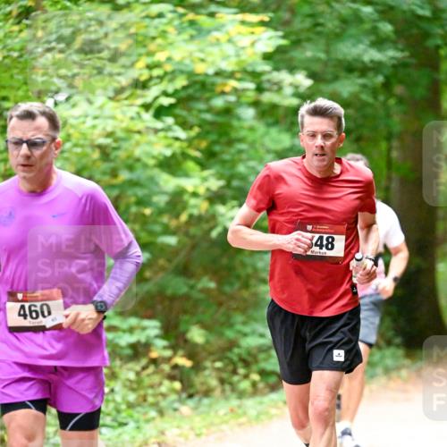11.10.2026 - Bramfelder Halbmarathon 2026 Dr. Thomas Lammeyer http://msf.ph/oto/10819921 11.10.2026 10:17:51 Laufen 460, 548 meine-sportfotos.de