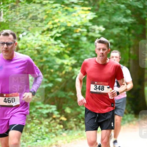 11.10.2026 - Bramfelder Halbmarathon 2026 Dr. Thomas Lammeyer http://msf.ph/oto/10819922 11.10.2026 10:17:51 Laufen 460, 348 meine-sportfotos.de