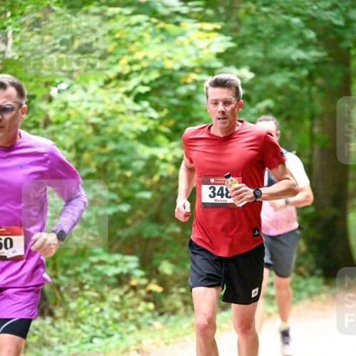 11.10.2026 - Bramfelder Halbmarathon 2026 Dr. Thomas Lammeyer http://msf.ph/oto/10819923 11.10.2026 10:17:51 Laufen 50, 348 meine-sportfotos.de