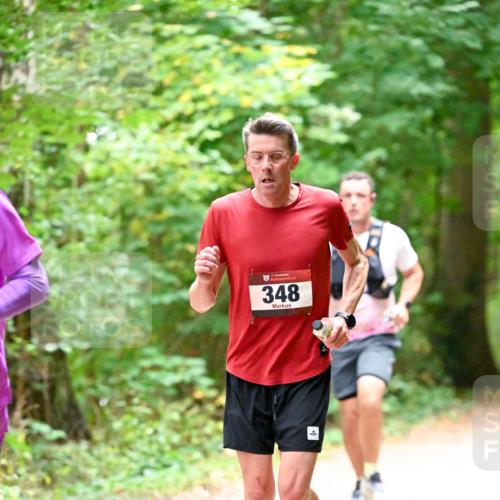 11.10.2026 - Bramfelder Halbmarathon 2026 Dr. Thomas Lammeyer http://msf.ph/oto/10819925 11.10.2026 10:17:52 Laufen 35, 348 meine-sportfotos.de
