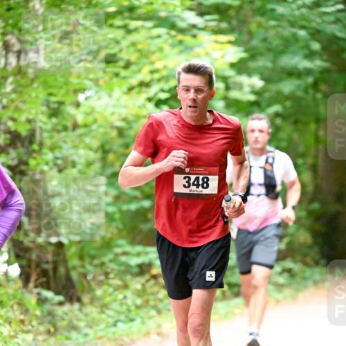 11.10.2026 - Bramfelder Halbmarathon 2026 Dr. Thomas Lammeyer http://msf.ph/oto/10819926 11.10.2026 10:17:52 Laufen 348 meine-sportfotos.de