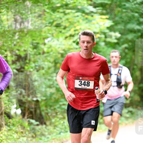 11.10.2026 - Bramfelder Halbmarathon 2026 Dr. Thomas Lammeyer http://msf.ph/oto/10819927 11.10.2026 10:17:52 Laufen 35, 348 meine-sportfotos.de