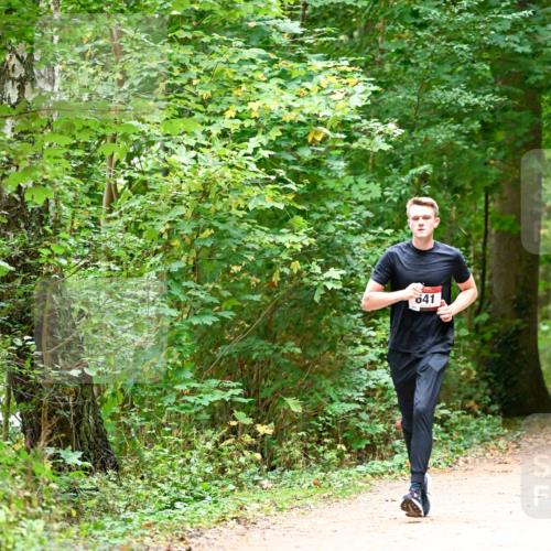 11.10.2026 - Bramfelder Halbmarathon 2026 Dr. Thomas Lammeyer http://msf.ph/oto/10819947 11.10.2026 10:18:03 Laufen 641 meine-sportfotos.de