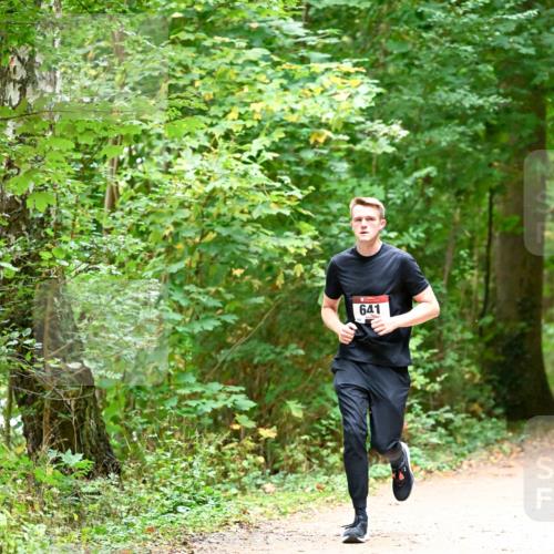 11.10.2026 - Bramfelder Halbmarathon 2026 Dr. Thomas Lammeyer http://msf.ph/oto/10819951 11.10.2026 10:18:04 Laufen 641 meine-sportfotos.de
