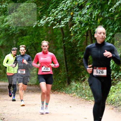 11.10.2026 - Bramfelder Halbmarathon 2026 Dr. Thomas Lammeyer http://msf.ph/oto/10819966 11.10.2026 10:18:21 Laufen 735, 526, 368 meine-sportfotos.de