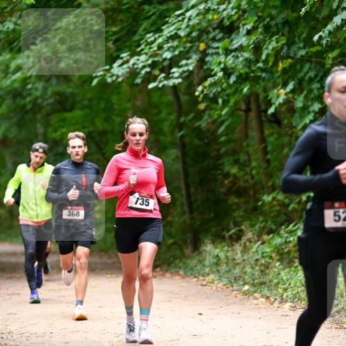 11.10.2026 - Bramfelder Halbmarathon 2026 Dr. Thomas Lammeyer http://msf.ph/oto/10819969 11.10.2026 10:18:21 Laufen 368, 135, 52 meine-sportfotos.de