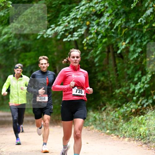 11.10.2026 - Bramfelder Halbmarathon 2026 Dr. Thomas Lammeyer http://msf.ph/oto/10819975 11.10.2026 10:18:22 Laufen 368, 735 meine-sportfotos.de