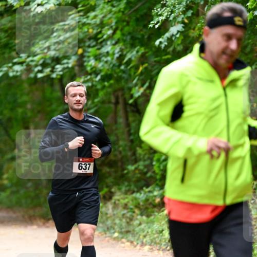 11.10.2026 - Bramfelder Halbmarathon 2026 Dr. Thomas Lammeyer http://msf.ph/oto/10819991 11.10.2026 10:18:26 Laufen 637 meine-sportfotos.de