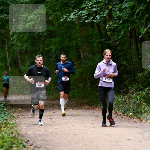 11.10.2026 - Bramfelder Halbmarathon 2026 Dr. Thomas Lammeyer http://msf.ph/oto/10820009 11.10.2026 10:18:46 Laufen 66, 159, 266 meine-sportfotos.de