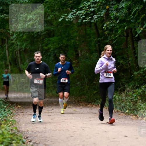 11.10.2026 - Bramfelder Halbmarathon 2026 Dr. Thomas Lammeyer http://msf.ph/oto/10820010 11.10.2026 10:18:46 Laufen 66, 159, 266 meine-sportfotos.de