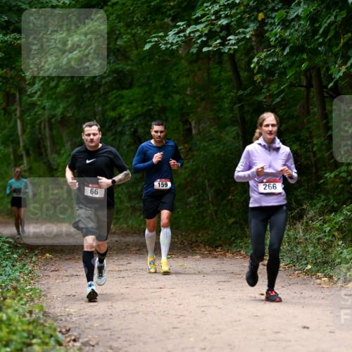 11.10.2026 - Bramfelder Halbmarathon 2026 Dr. Thomas Lammeyer http://msf.ph/oto/10820011 11.10.2026 10:18:47 Laufen 159, 266, 66 meine-sportfotos.de