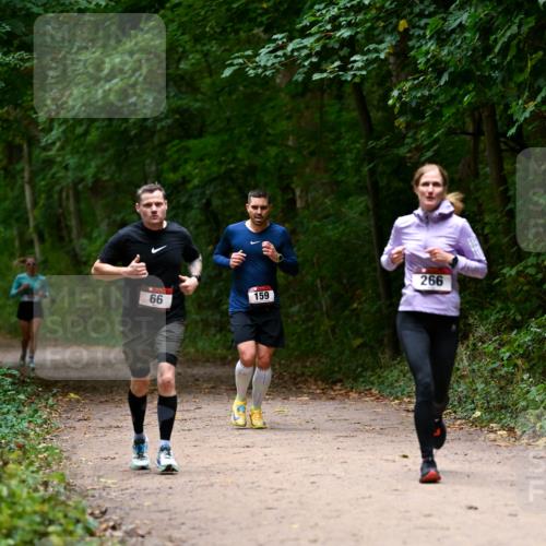 11.10.2026 - Bramfelder Halbmarathon 2026 Dr. Thomas Lammeyer http://msf.ph/oto/10820013 11.10.2026 10:18:47 Laufen 66, 159, 266 meine-sportfotos.de