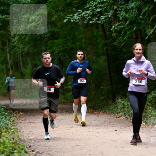 11.10.2026 - Bramfelder Halbmarathon 2026 Dr. Thomas Lammeyer http://msf.ph/oto/10820017 11.10.2026 10:18:47 Laufen 66, 159, 266 meine-sportfotos.de