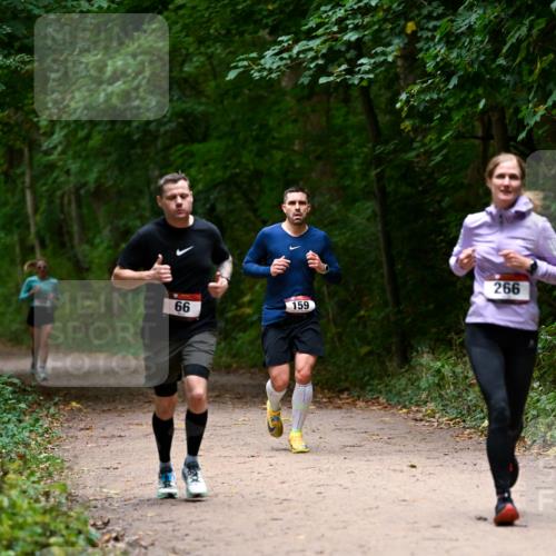 11.10.2026 - Bramfelder Halbmarathon 2026 Dr. Thomas Lammeyer http://msf.ph/oto/10820018 11.10.2026 10:18:48 Laufen 159, 66, 266 meine-sportfotos.de