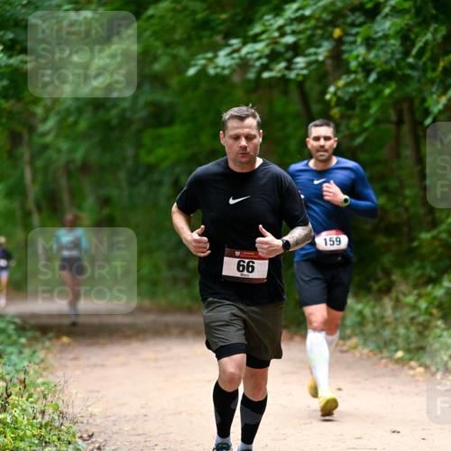 11.10.2026 - Bramfelder Halbmarathon 2026 Dr. Thomas Lammeyer http://msf.ph/oto/10820026 11.10.2026 10:18:49 Laufen 66, 159 meine-sportfotos.de