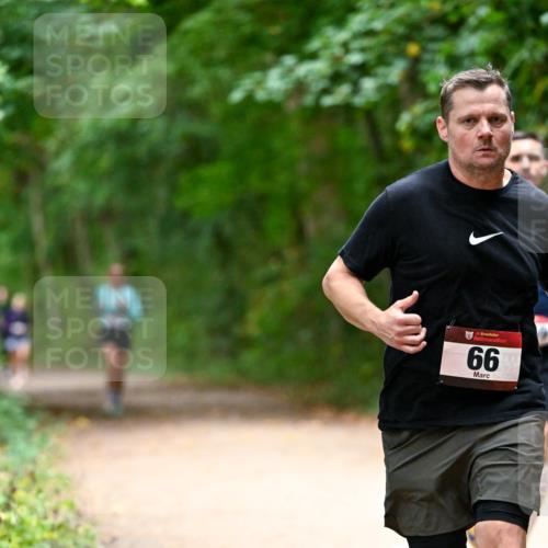 11.10.2026 - Bramfelder Halbmarathon 2026 Dr. Thomas Lammeyer http://msf.ph/oto/10820032 11.10.2026 10:18:51 Laufen 35, 66 meine-sportfotos.de