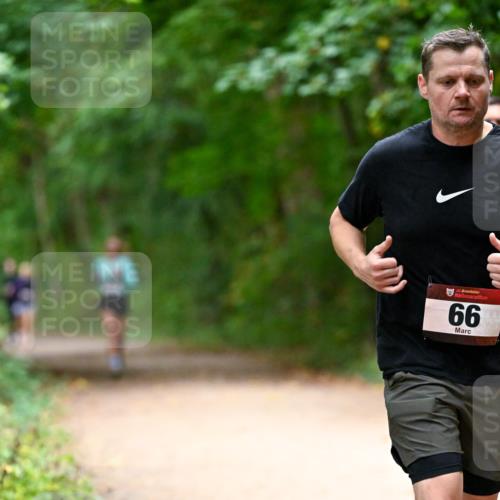 11.10.2026 - Bramfelder Halbmarathon 2026 Dr. Thomas Lammeyer http://msf.ph/oto/10820033 11.10.2026 10:18:51 Laufen 66 meine-sportfotos.de