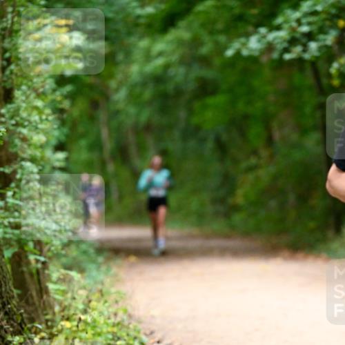 11.10.2026 - Bramfelder Halbmarathon 2026 Dr. Thomas Lammeyer http://msf.ph/oto/10820035 11.10.2026 10:18:51 Laufen  meine-sportfotos.de
